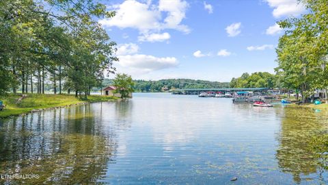 Tiny photo for 159 Sam's Boat Dock Rd, Ten Mile, TN 37880 (MLS # 1328196)
