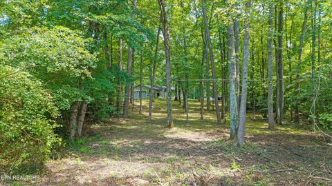 Tiny photo for 159 Sam's Boat Dock Rd, Ten Mile, TN 37880 (MLS # 1328196)