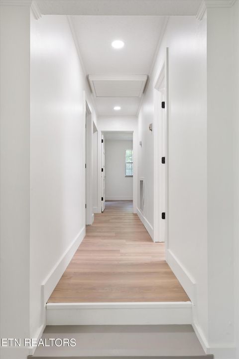 Tiny photo for 159 Sam's Boat Dock Rd, Ten Mile, TN 37880 (MLS # 1328196)