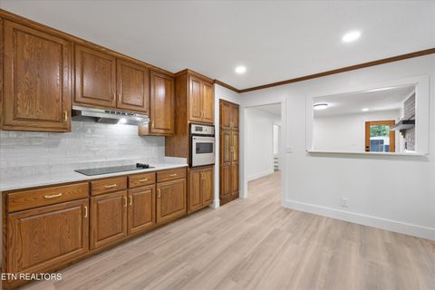 Tiny photo for 159 Sam's Boat Dock Rd, Ten Mile, TN 37880 (MLS # 1328196)