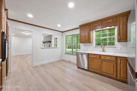 Tiny photo for 159 Sam's Boat Dock Rd, Ten Mile, TN 37880 (MLS # 1328196)