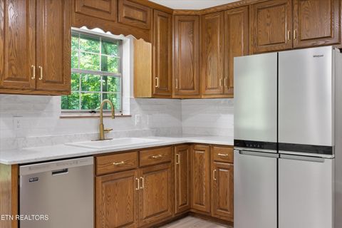 Tiny photo for 159 Sam's Boat Dock Rd, Ten Mile, TN 37880 (MLS # 1328196)