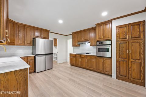 Tiny photo for 159 Sam's Boat Dock Rd, Ten Mile, TN 37880 (MLS # 1328196)