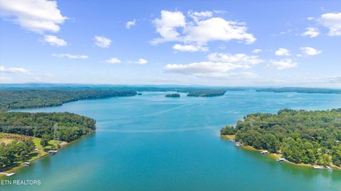 Tiny photo for 159 Sam's Boat Dock Rd, Ten Mile, TN 37880 (MLS # 1328196)