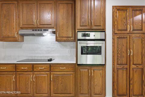 Tiny photo for 159 Sam's Boat Dock Rd, Ten Mile, TN 37880 (MLS # 1328196)