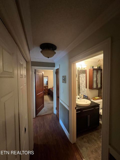 Tiny photo for 2720 Buffat Mill Rd, Knoxville, TN 37917 (MLS # 1315010)