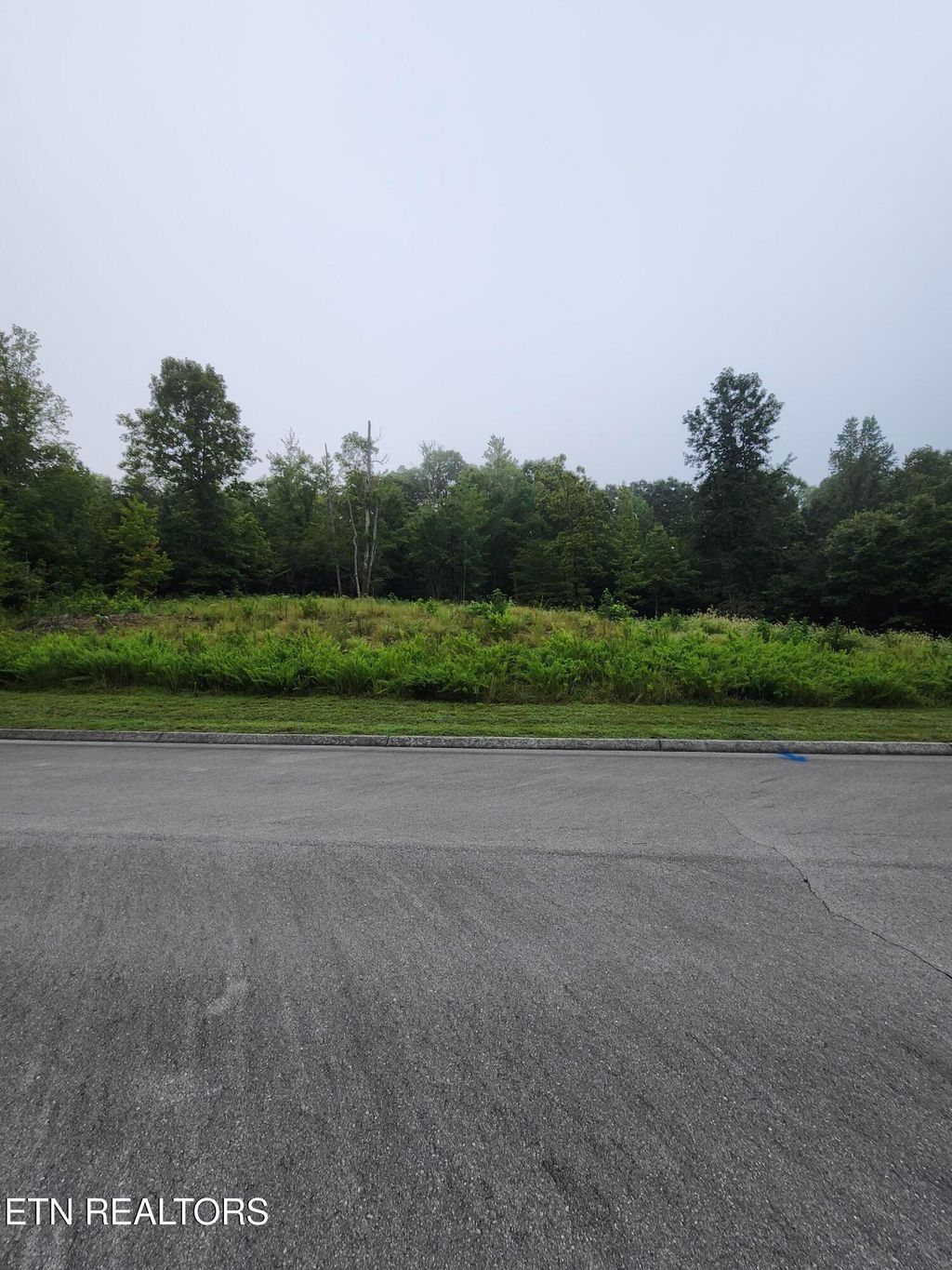 Photo of 302 Caney View (w/dock) Drive, Harriman, TN 37748 (MLS # 1312035)