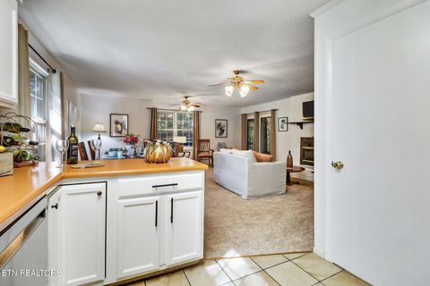 Tiny photo for 3094 Renegade Mountain Pkwy, Crab Orchard, TN 37723 (MLS # 1317616)