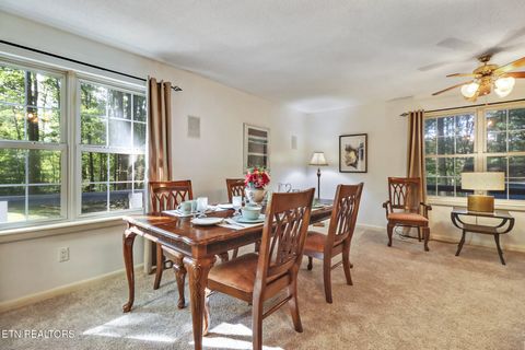 Tiny photo for 3094 Renegade Mountain Pkwy, Crab Orchard, TN 37723 (MLS # 1317616)