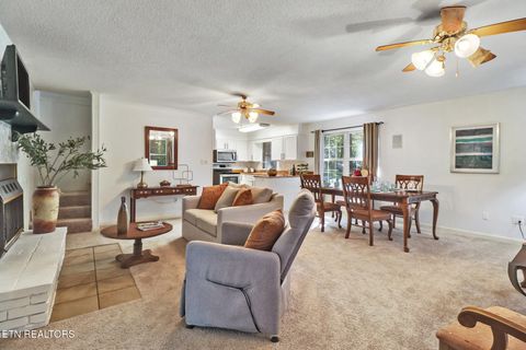 Tiny photo for 3094 Renegade Mountain Pkwy, Crab Orchard, TN 37723 (MLS # 1317616)