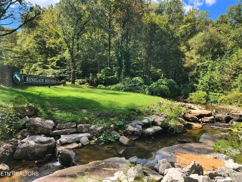 Tiny photo for 3094 Renegade Mountain Pkwy, Crab Orchard, TN 37723 (MLS # 1317616)