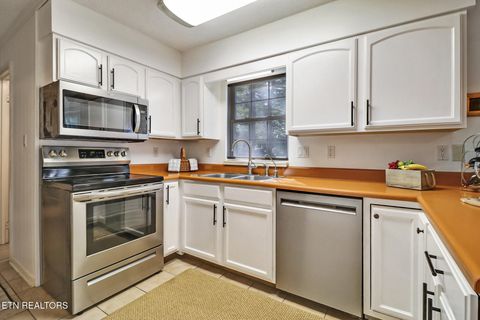 Tiny photo for 3094 Renegade Mountain Pkwy, Crab Orchard, TN 37723 (MLS # 1317616)