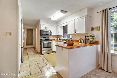 Tiny photo for 3094 Renegade Mountain Pkwy, Crab Orchard, TN 37723 (MLS # 1317616)