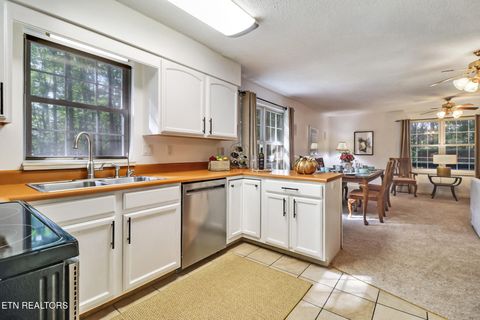 Tiny photo for 3094 Renegade Mountain Pkwy, Crab Orchard, TN 37723 (MLS # 1317616)