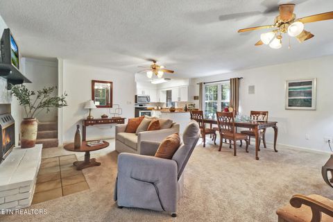 Tiny photo for 3094 Renegade Mountain Pkwy, Crab Orchard, TN 37723 (MLS # 1317616)