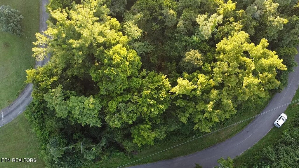 Photo of City View Drive, Newport, TN 37821 (MLS # 1353404)
