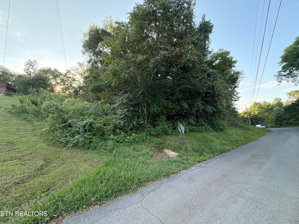 Photo of City View Drive, Newport, TN 37821 (MLS # 1353404)