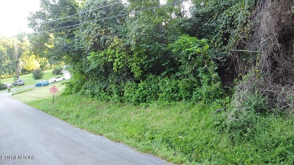 Photo of City View Drive, Newport, TN 37821 (MLS # 1353404)