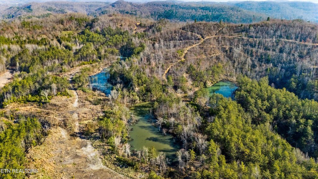 Photo of Stinking Creek Rd, Pioneer, TN 37847 (MLS # 1295713)