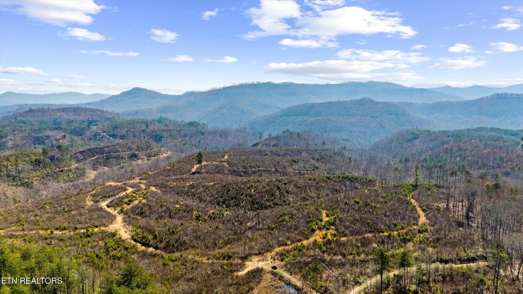 Photo of Stinking Creek Rd, Pioneer, TN 37847 (MLS # 1295713)