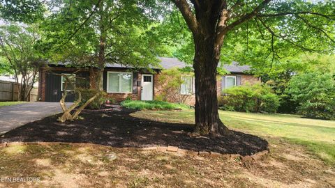 Tiny photo for 1048 Morrow Rd, Knoxville, TN 37923 (MLS # 1341626)