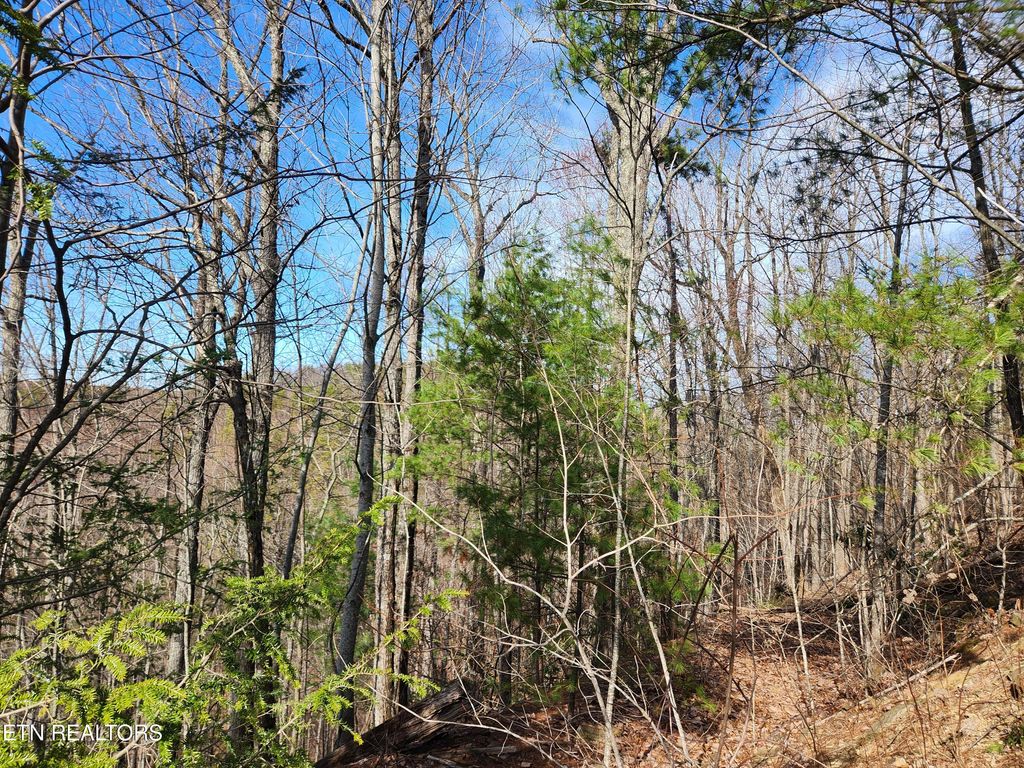 Photo of 46 Feld Wynde Close Way, Sevierville, TN 37862 (MLS # 1341381)