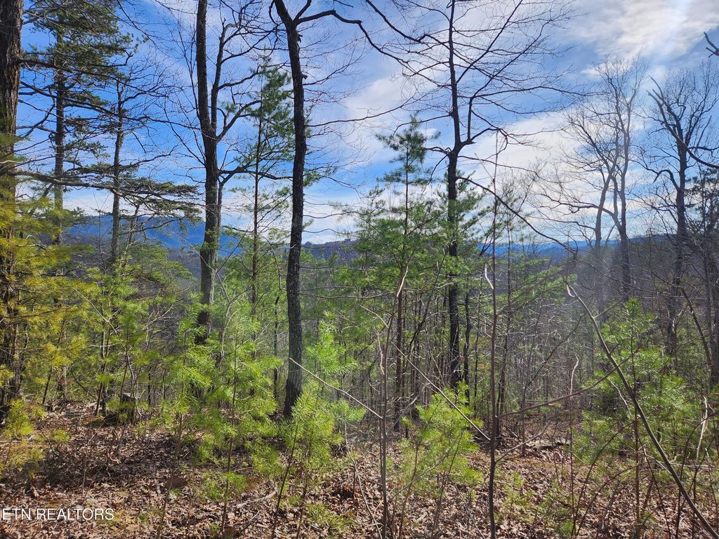 Photo of 46 Feld Wynde Close Way, Sevierville, TN 37862 (MLS # 1341381)
