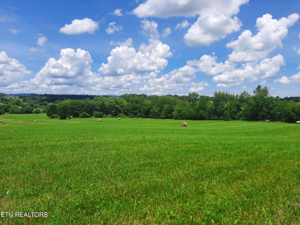 Photo of 1290 Clear Springs Rd, Limestone, TN 37681 (MLS # 1337798)