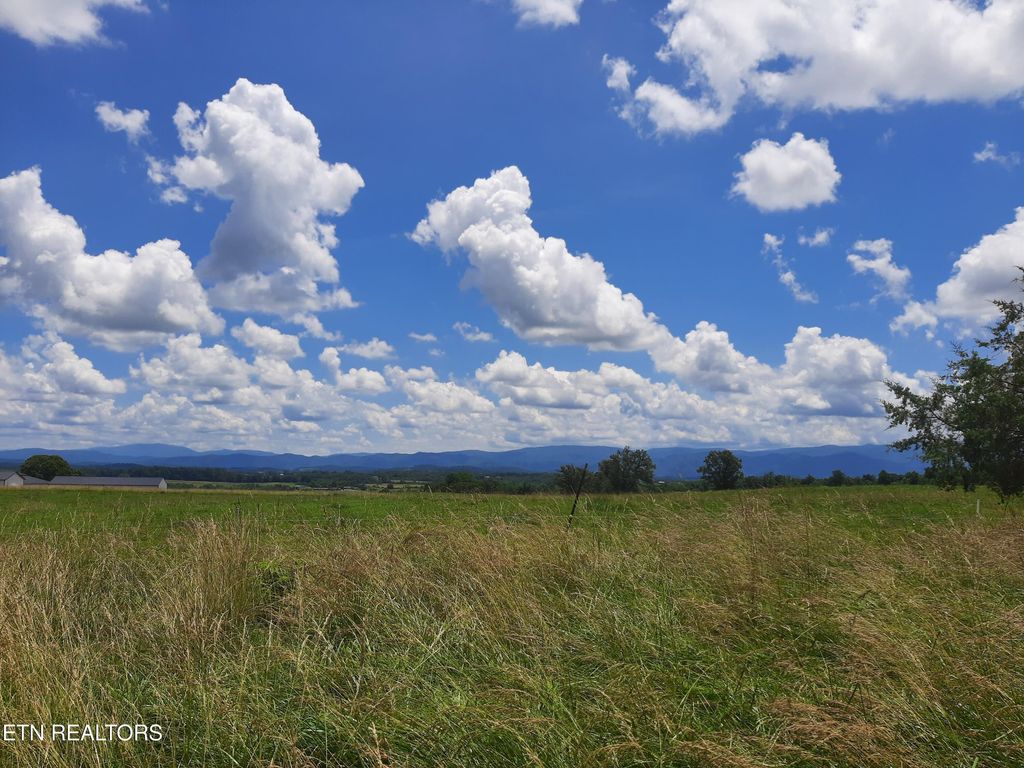 Photo of 1290 Clear Springs Rd, Limestone, TN 37681 (MLS # 1337798)