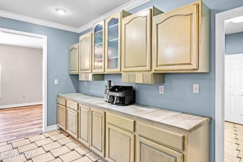 Tiny photo for 5703 Old Niles Ferry Pike, Greenback, TN 37742 (MLS # 1338151)