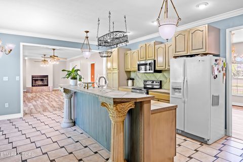 Tiny photo for 5703 Old Niles Ferry Pike, Greenback, TN 37742 (MLS # 1338151)