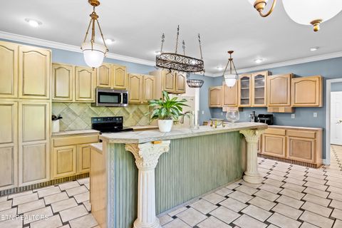 Tiny photo for 5703 Old Niles Ferry Pike, Greenback, TN 37742 (MLS # 1338151)