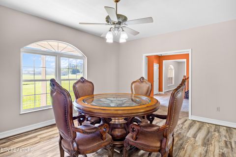 Tiny photo for 5703 Old Niles Ferry Pike, Greenback, TN 37742 (MLS # 1338151)