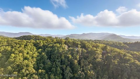 Tiny photo for 2833 Longvale Lane, Sevierville, TN 37862 (MLS # 1317595)