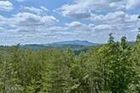 Tiny photo for 2833 Longvale Lane, Sevierville, TN 37862 (MLS # 1317595)