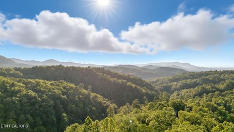 Tiny photo for 2833 Longvale Lane, Sevierville, TN 37862 (MLS # 1317595)