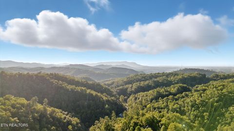 Tiny photo for 2833 Longvale Lane, Sevierville, TN 37862 (MLS # 1317595)
