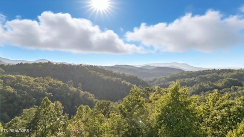 Tiny photo for 2833 Longvale Lane, Sevierville, TN 37862 (MLS # 1317595)