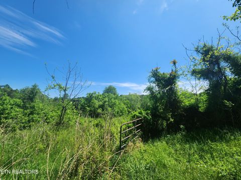 Tiny photo for 835 Nance Rd, Rutledge, TN 37861 (MLS # 1318094)