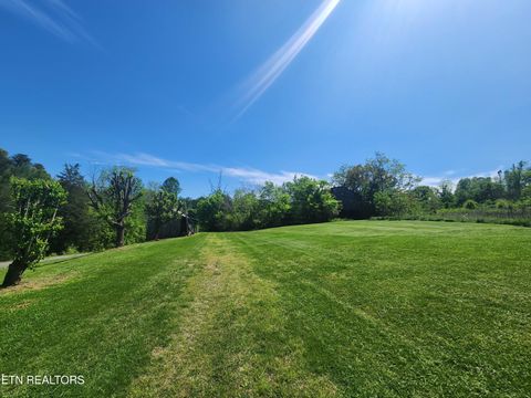 Tiny photo for 835 Nance Rd, Rutledge, TN 37861 (MLS # 1318094)