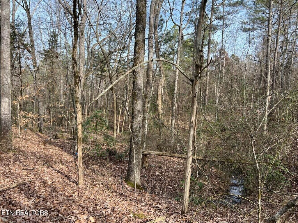 Photo of 160 County Road 351, Sweetwater, TN 37874 (MLS # 1282735)