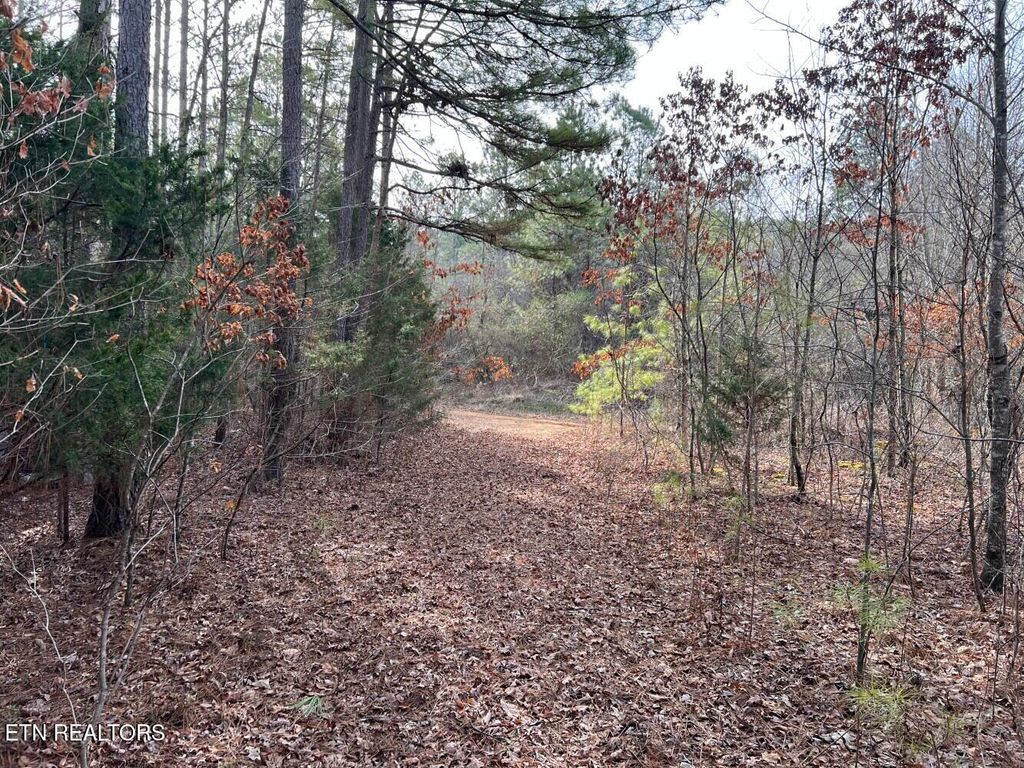 Photo of 160 County Road 351, Sweetwater, TN 37874 (MLS # 1282735)