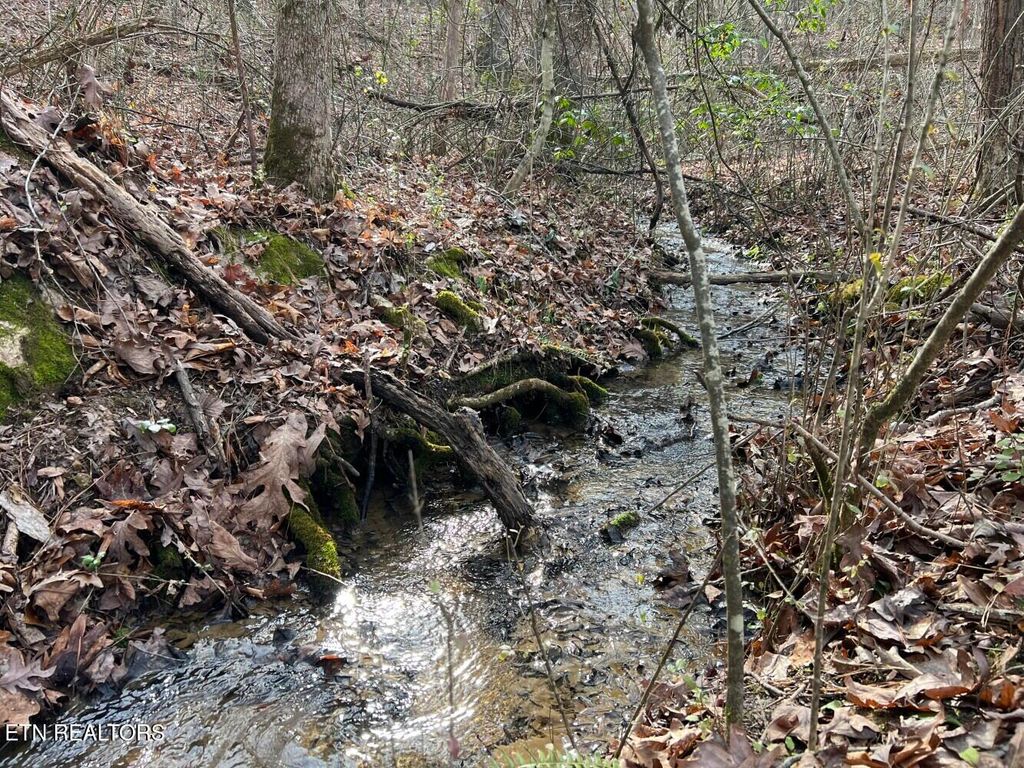 Photo of 160 County Road 351, Sweetwater, TN 37874 (MLS # 1282735)