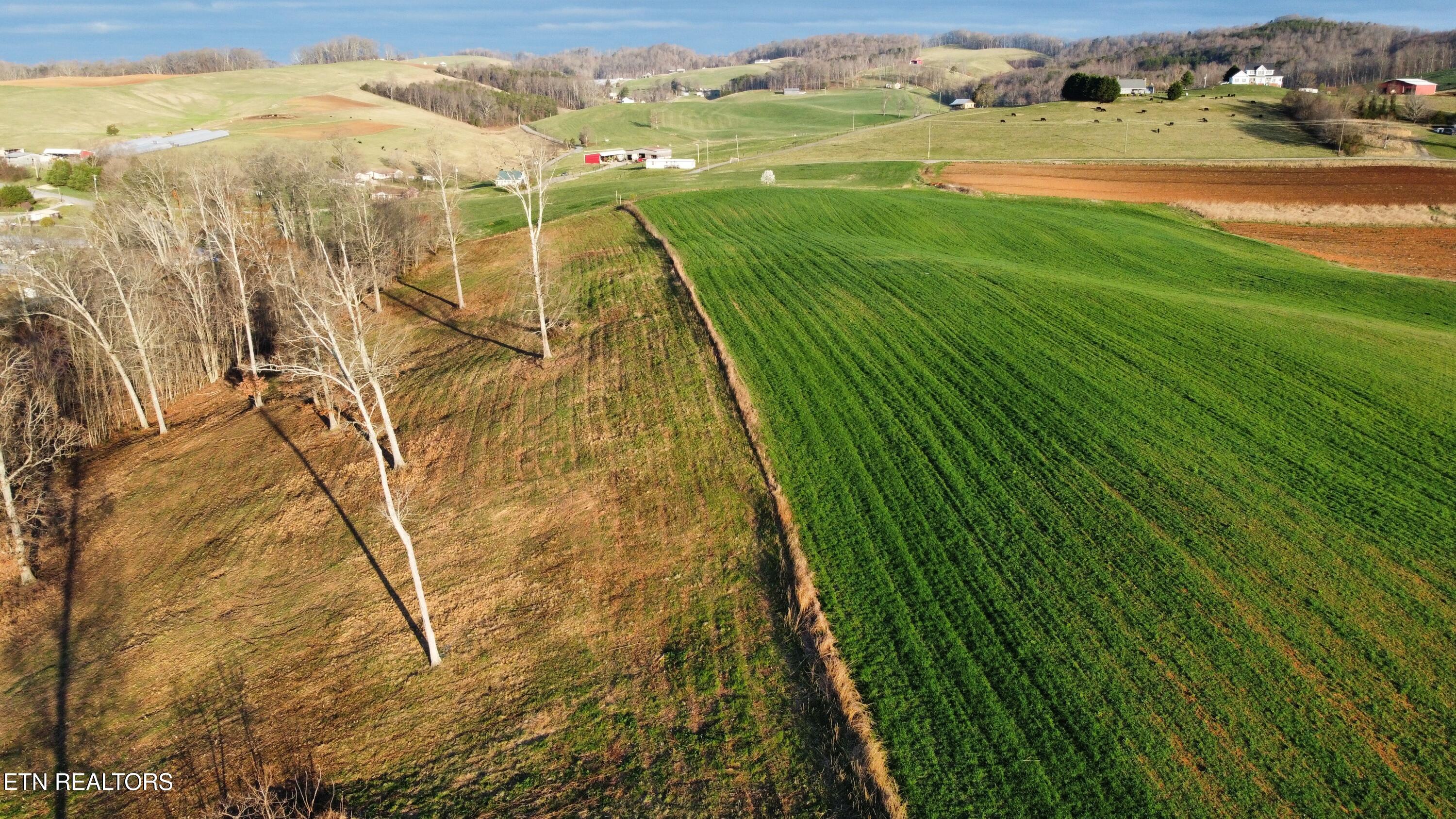 79 acres Perrin Hill Rd