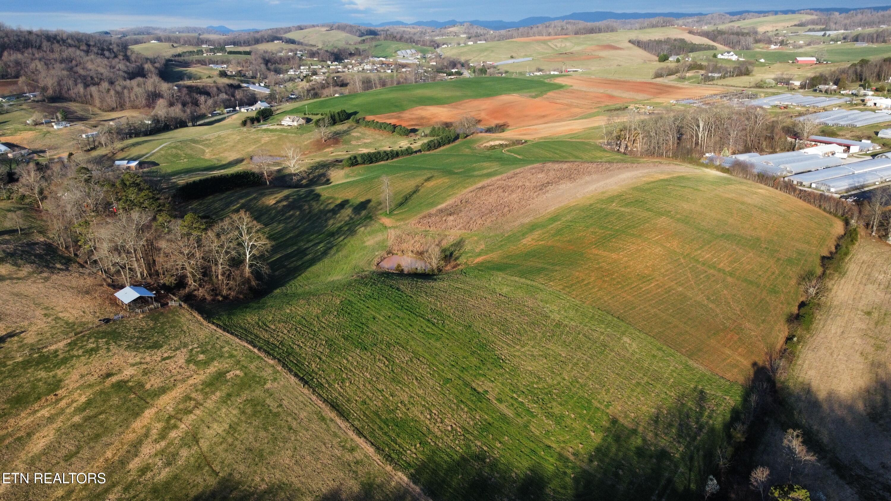79 acres Perrin Hill Rd