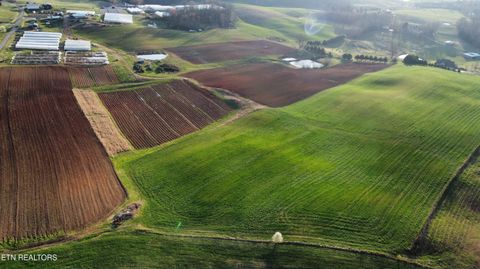 79 acres Perrin Hill Rd Rutledge TN 37861