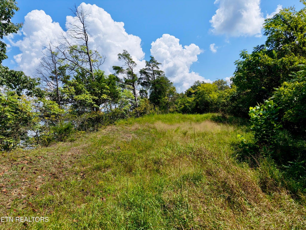 Photo of TBD Emerald Springs Way, Newport, TN 37821 (MLS # 1354340)