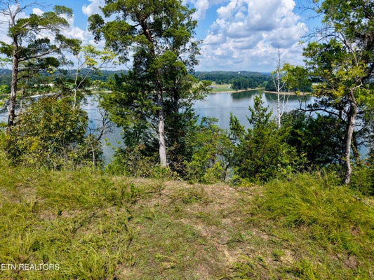 EMERALD SPRINGS WAY, NEWPORT, TN 37821 - Image 6b5e1553b29a975fdb7fb23ba3f61dee/64946965