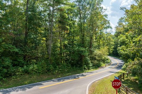 Tiny photo for TN-68, Tellico Plains, TN 37385 (MLS # 1332393)