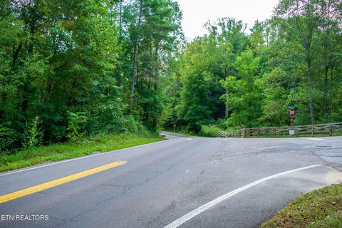 Tiny photo for TN-68, Tellico Plains, TN 37385 (MLS # 1332393)